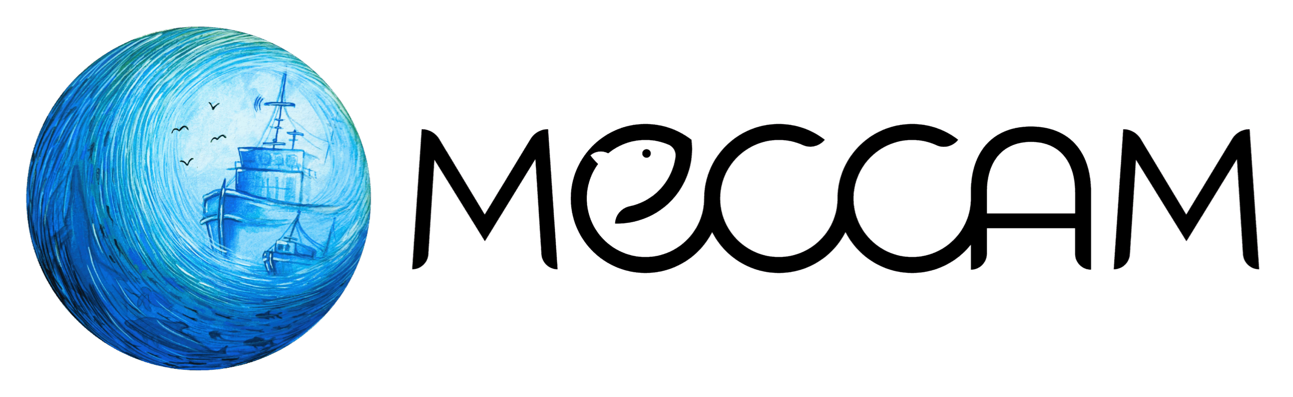 MeCCAM Logo